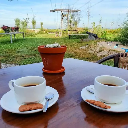 Boutique Jongwijs * Westzaan