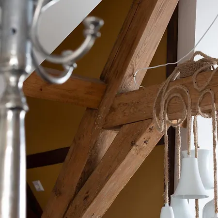 Boutique Jongwijs Hotel Westzaan