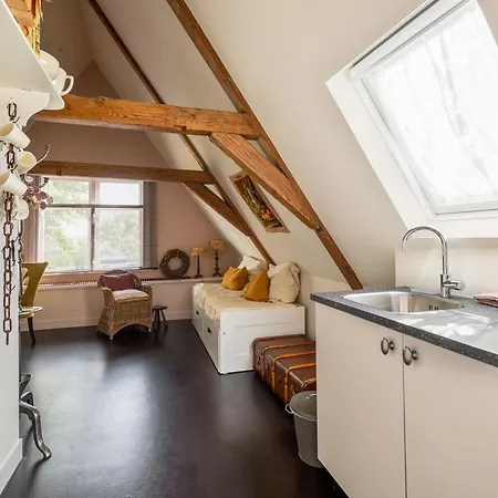 Boutique Jongwijs 호텔 Westzaan